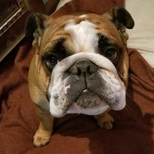 Meet your Posher, Robert